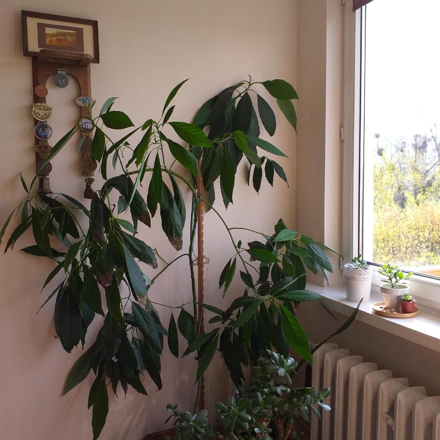 Wakacje Nad Morzem Gdansk Exterior foto